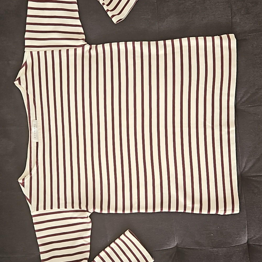 Everlane Striped Cream and Brown Top